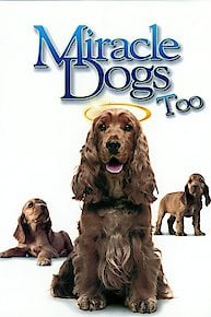 Miracle Dogs Too