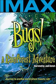 Bugs!: A Rainforest Adventure