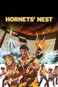 Hornet's Nest