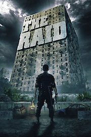 The Raid: Redemption