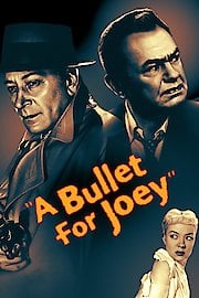 A Bullet for Joey