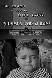 Shrimps for a Day