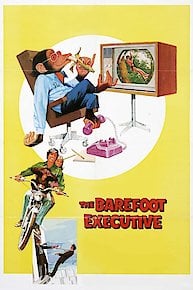 The Barefoot Executive