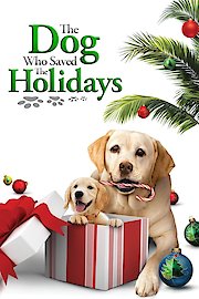 The Dog Who Saved The Holidays