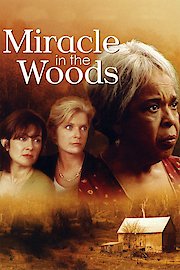 Miracle in the Woods