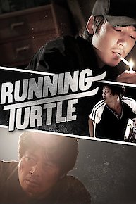 Running Turtle