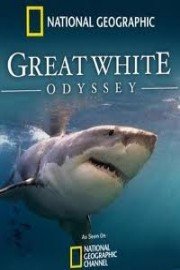 The Great White Odyssey