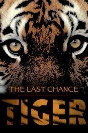 The Last Chance Tiger