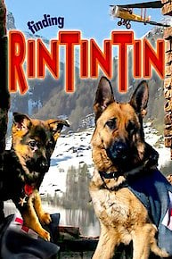 Finding Rin Tin Tin