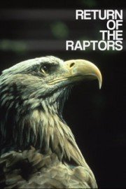 Return of the Raptors