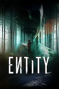 Entity