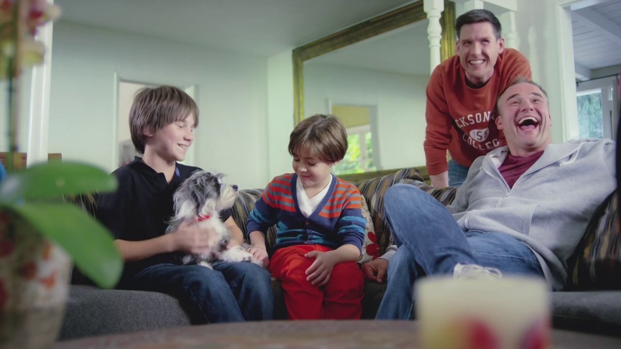 Sox: A Family's Best Friend