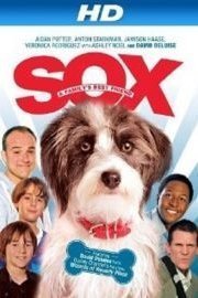 Sox: A Family's Best Friend
