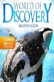 World Of Discovery - Beautiful Killers
