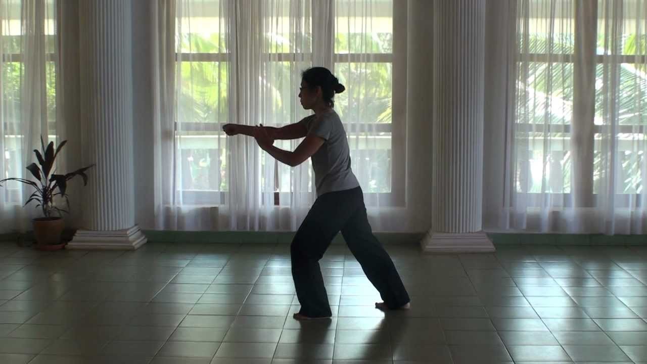 Tai Chi Fundamentals for Beginners