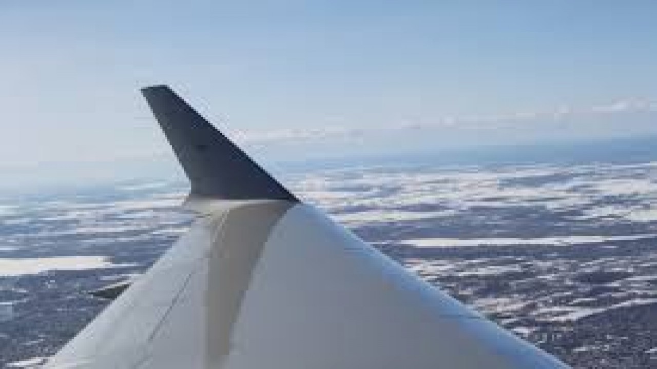 Your Flight In Their Hands