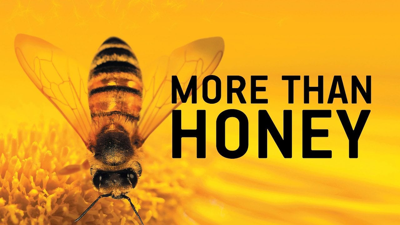 More than Honey