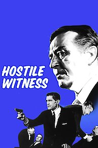 Hostile Witness