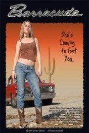 Barracuda
