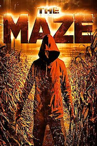 The Maze