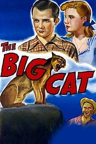 The Big Cat