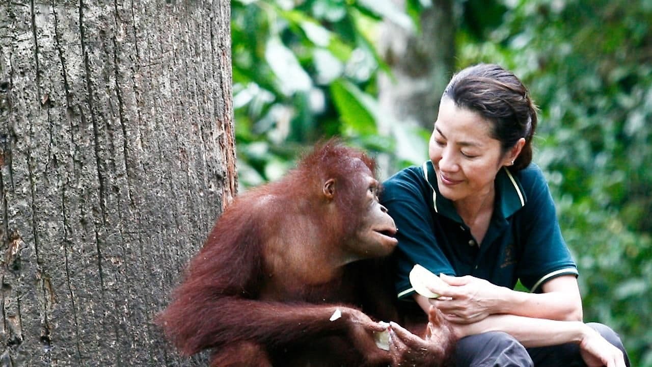 Among the Great Apes with Michelle Yeoh