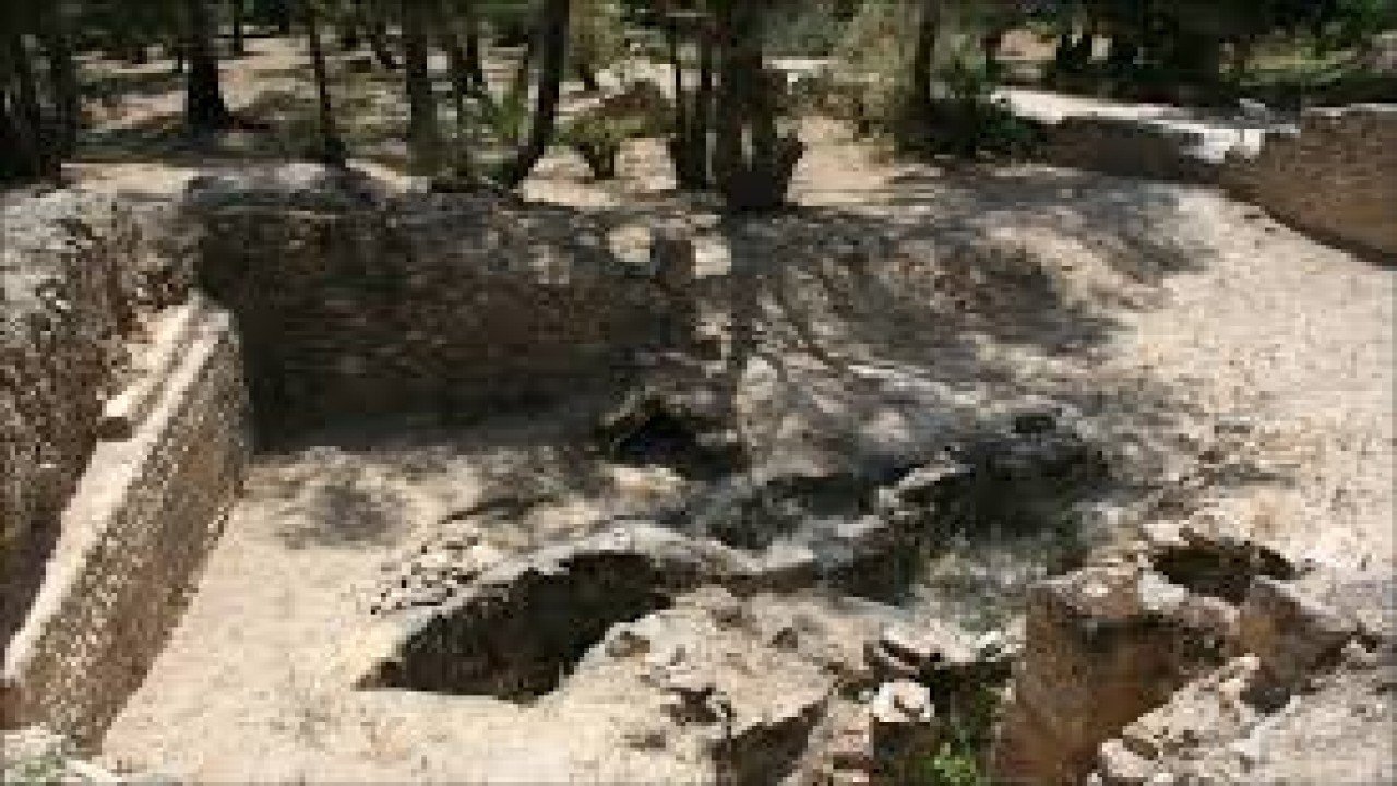 Legacy of Ancient Civilizations: Carthage and the Phoenicians