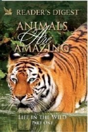 Animals Are Amazing: Life in the Wild: Part One