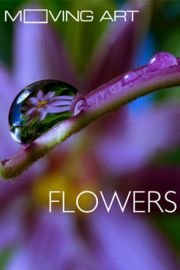 Moving Art: Flowers