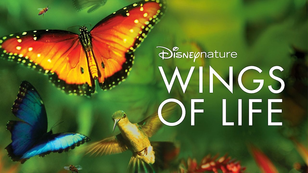 DisneyNature: Wings of Life