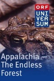 Appalachia - The Endless Forest