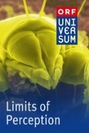 Limits of Perception