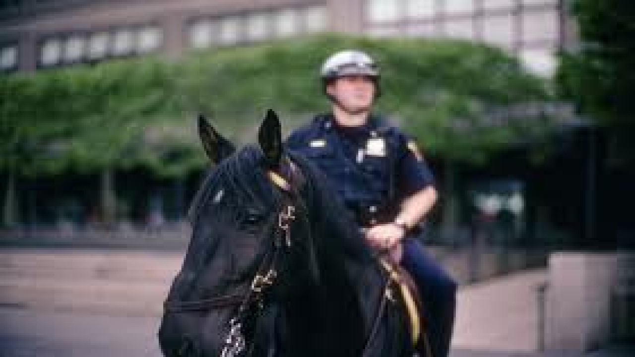 NYPD Mounted