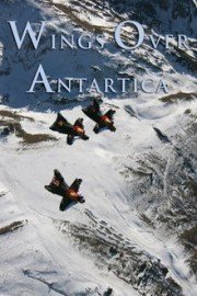 Wings Over Antarctica