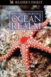 Wondrous Secrets of the Ocean Realm: City in the Sea & Star Gardens
