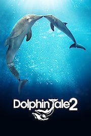 Dolphin Tale 2