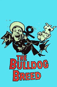 The Bulldog Breed