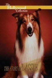 Hollywood Collection: The Story of Lassie