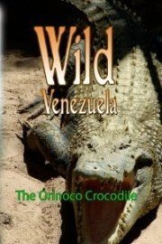 Wild Venezuela - The Orinoco Crocodile