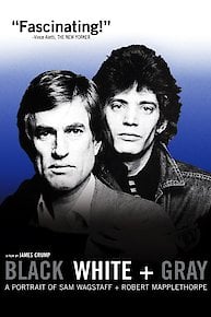 Black White  Gray: A Portrait of Sam Wagstaff and Robert Mapplethorpe