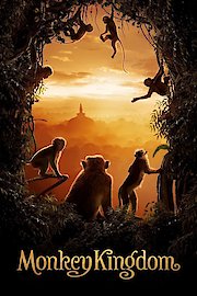 Monkey Kingdom