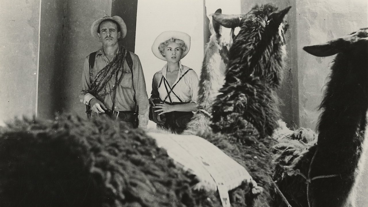 Daughter Of The Sun God