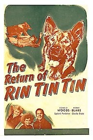 The Return of Rin Tin Tin