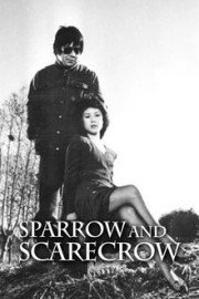 Sparrow and Scarecrow