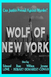 Wolf Of New York