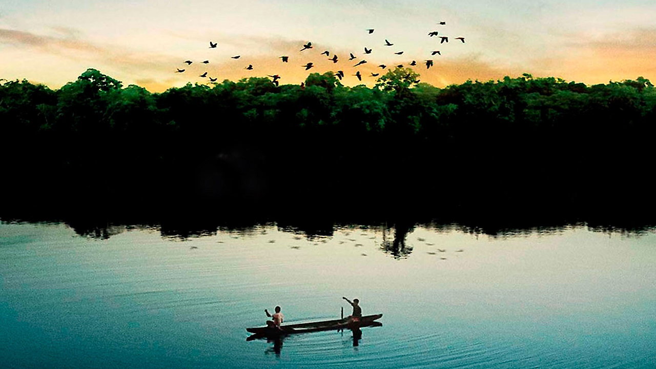Amazonia Eterna