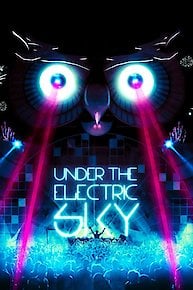 Under the Electric Sky: EDC 2013