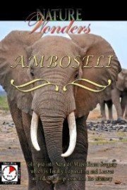 Nature Wonders AMBOSELI Kenya