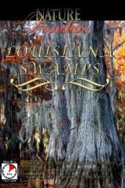 Nature Wonders LOUISIANA SWAMPS