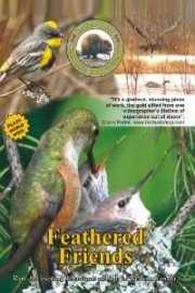 Feathered Friends